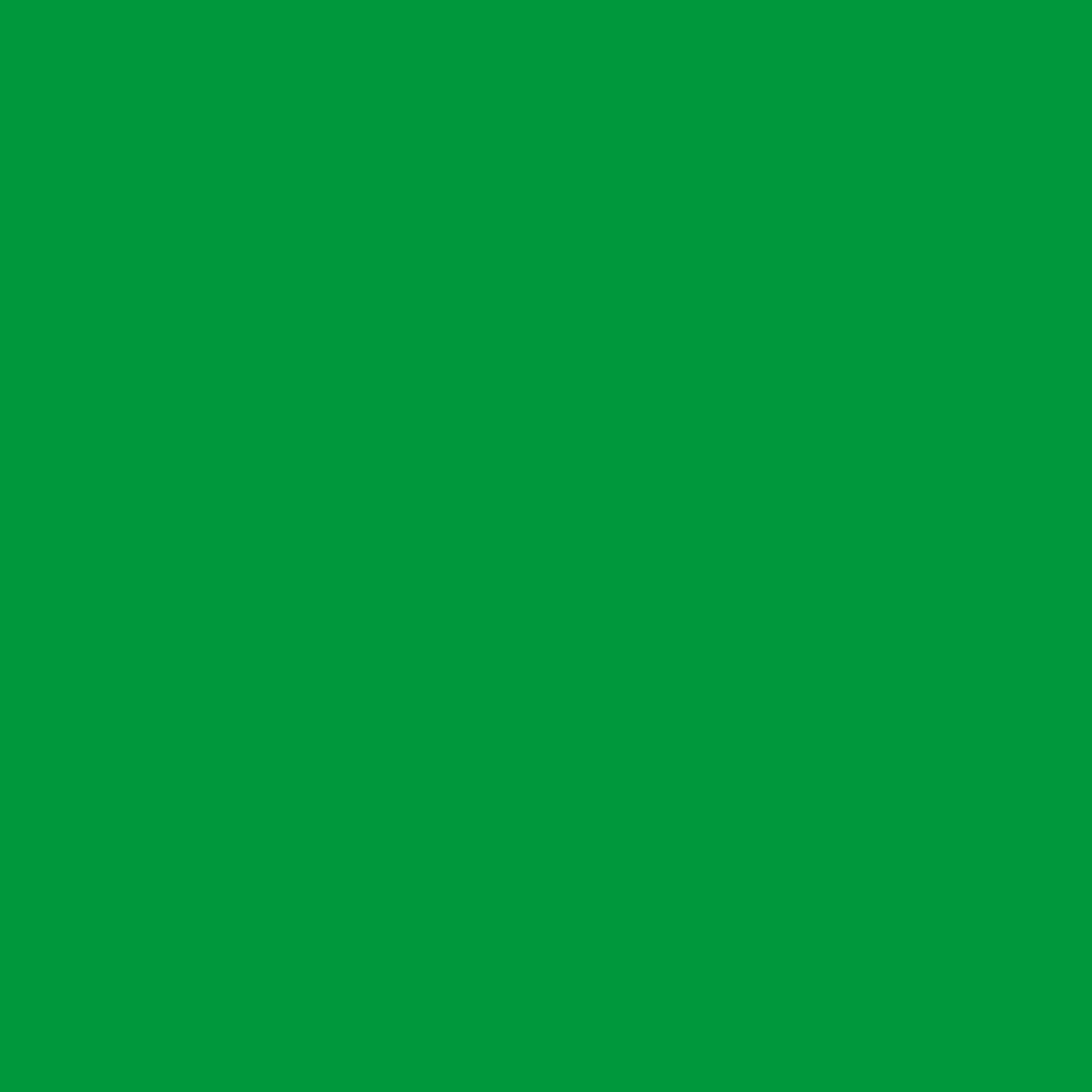 Feuille de menthe poivrée 2033-20