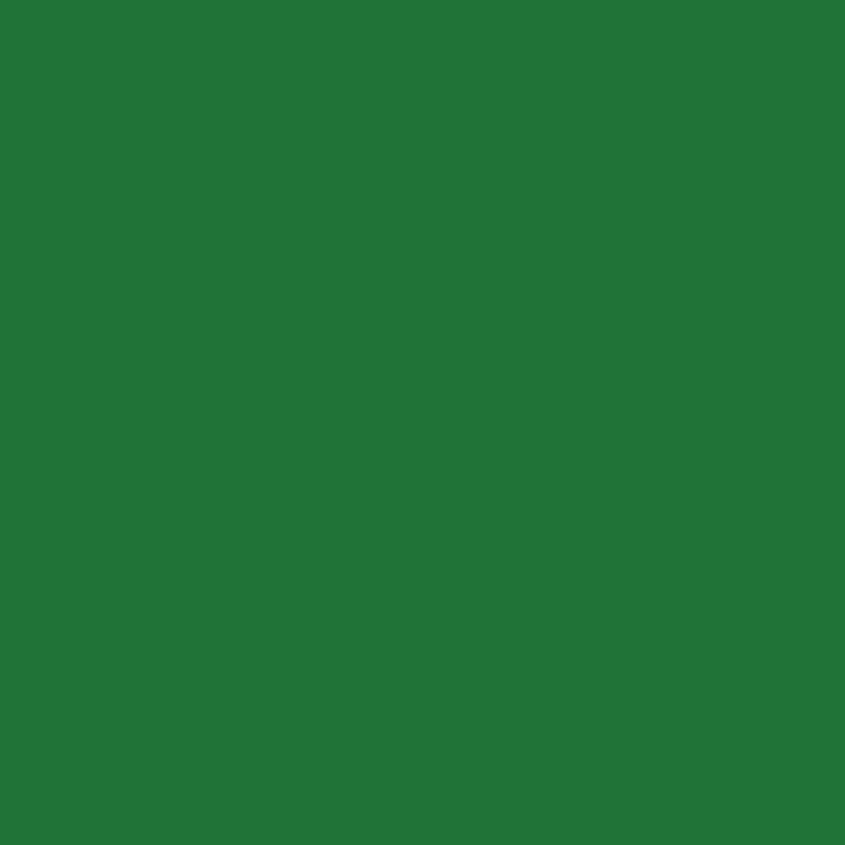 Trèfle Vert 2034-10