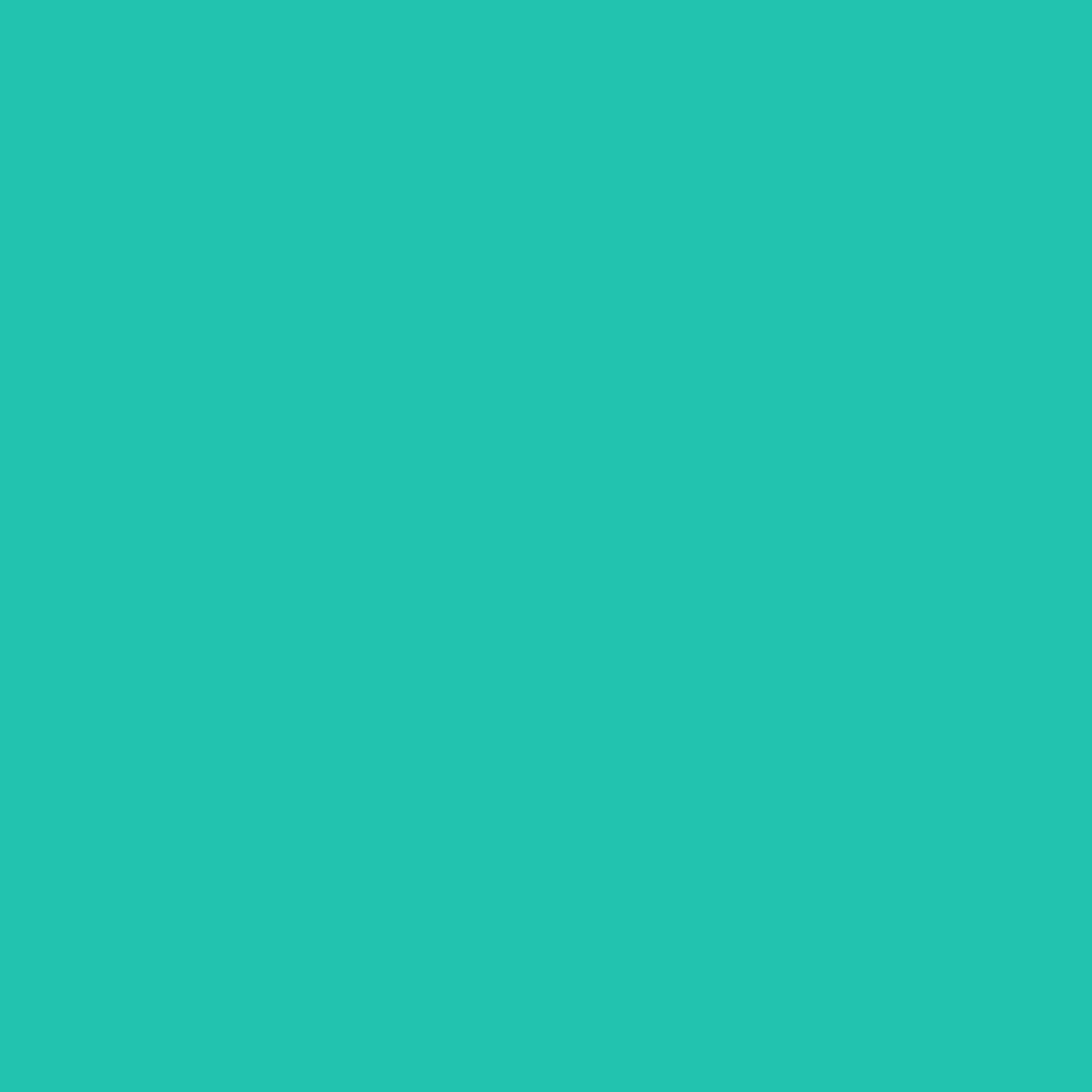 Éponge verte 2046-40