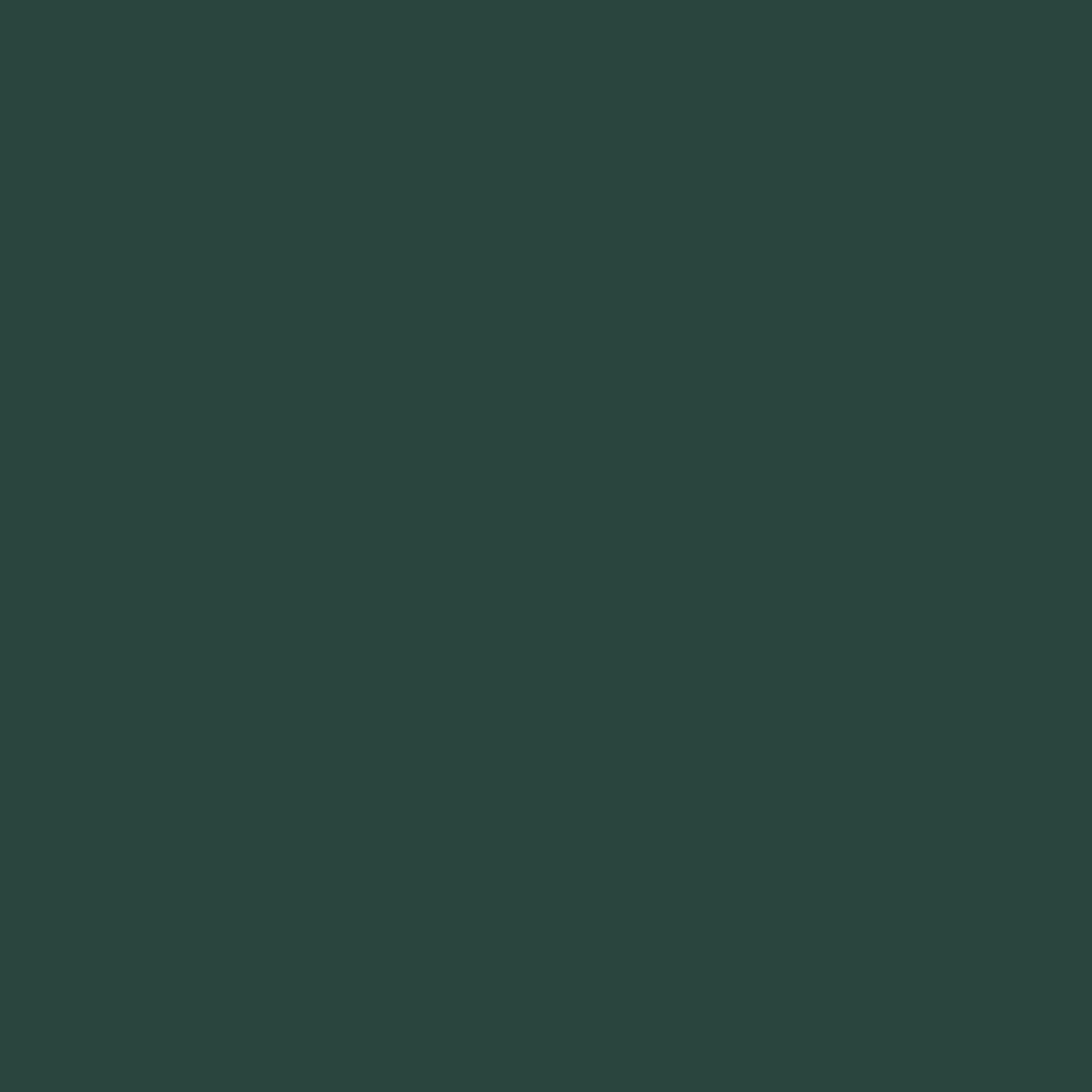 Vert chasseur 2041-10