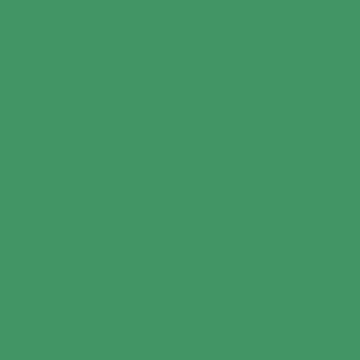 Vert de jalousie 2036-30