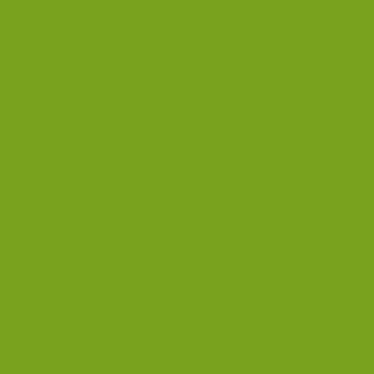 Iguane Vert 2028-10
