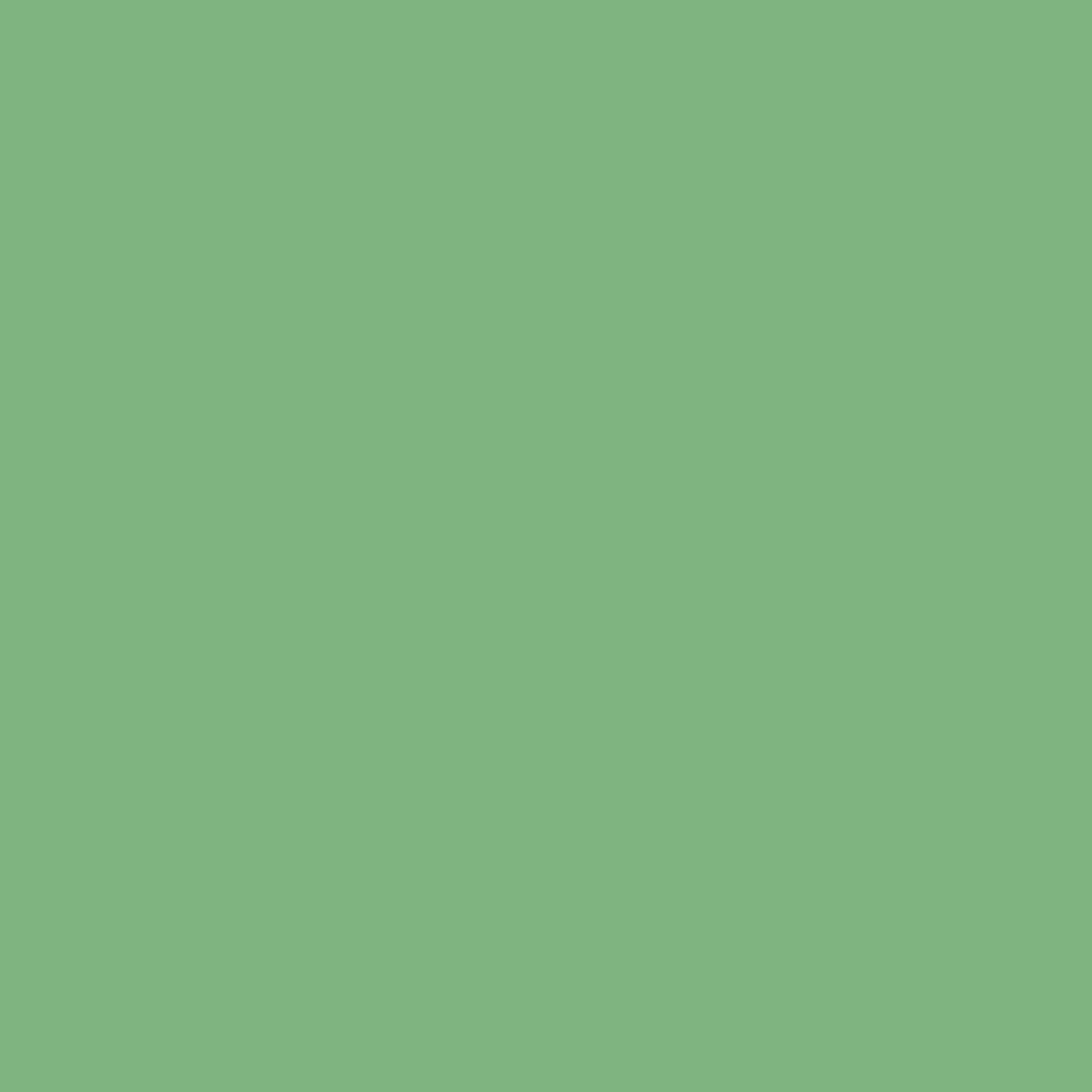 Vert cèdre 2034-40