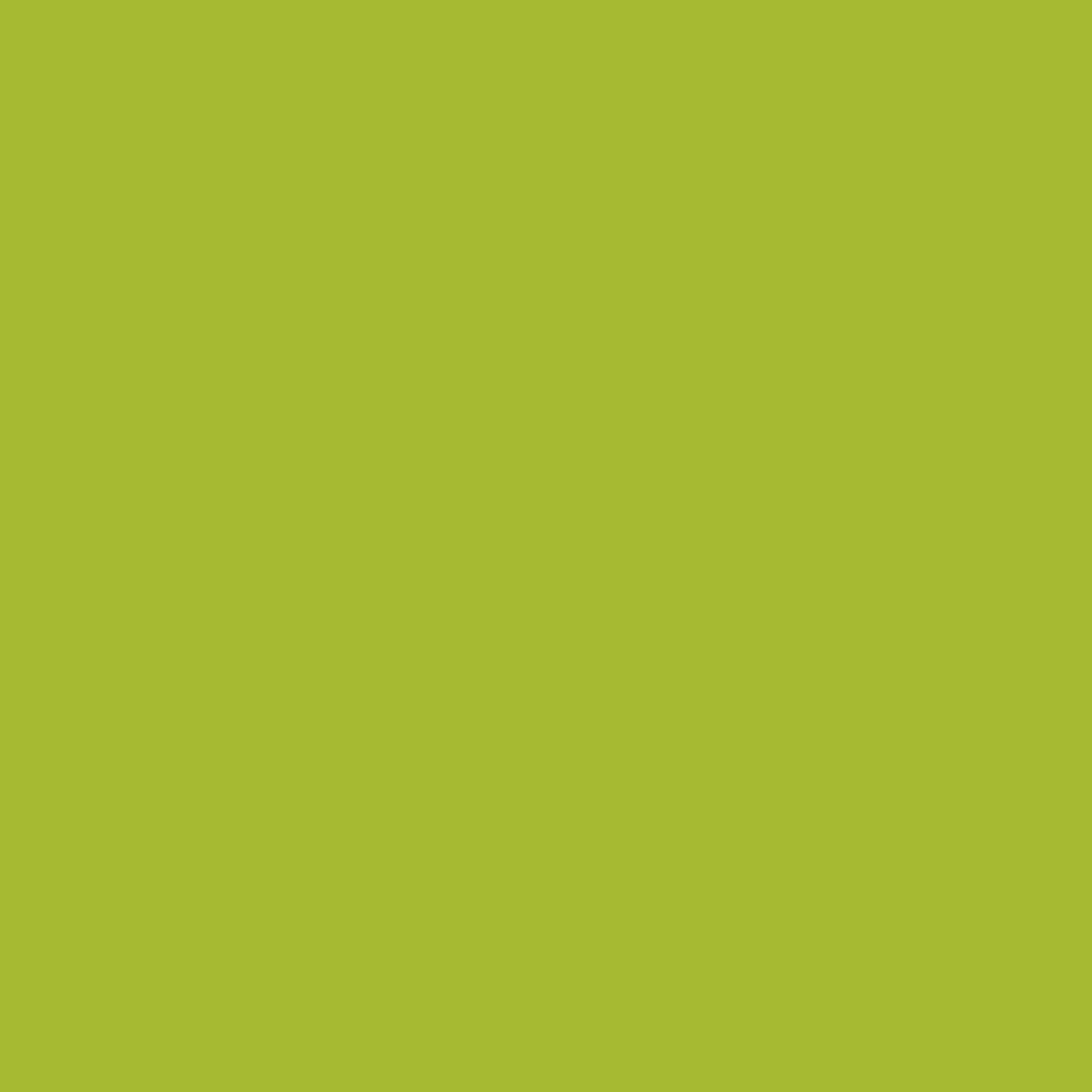 Téquila Citron Vert 2028-30