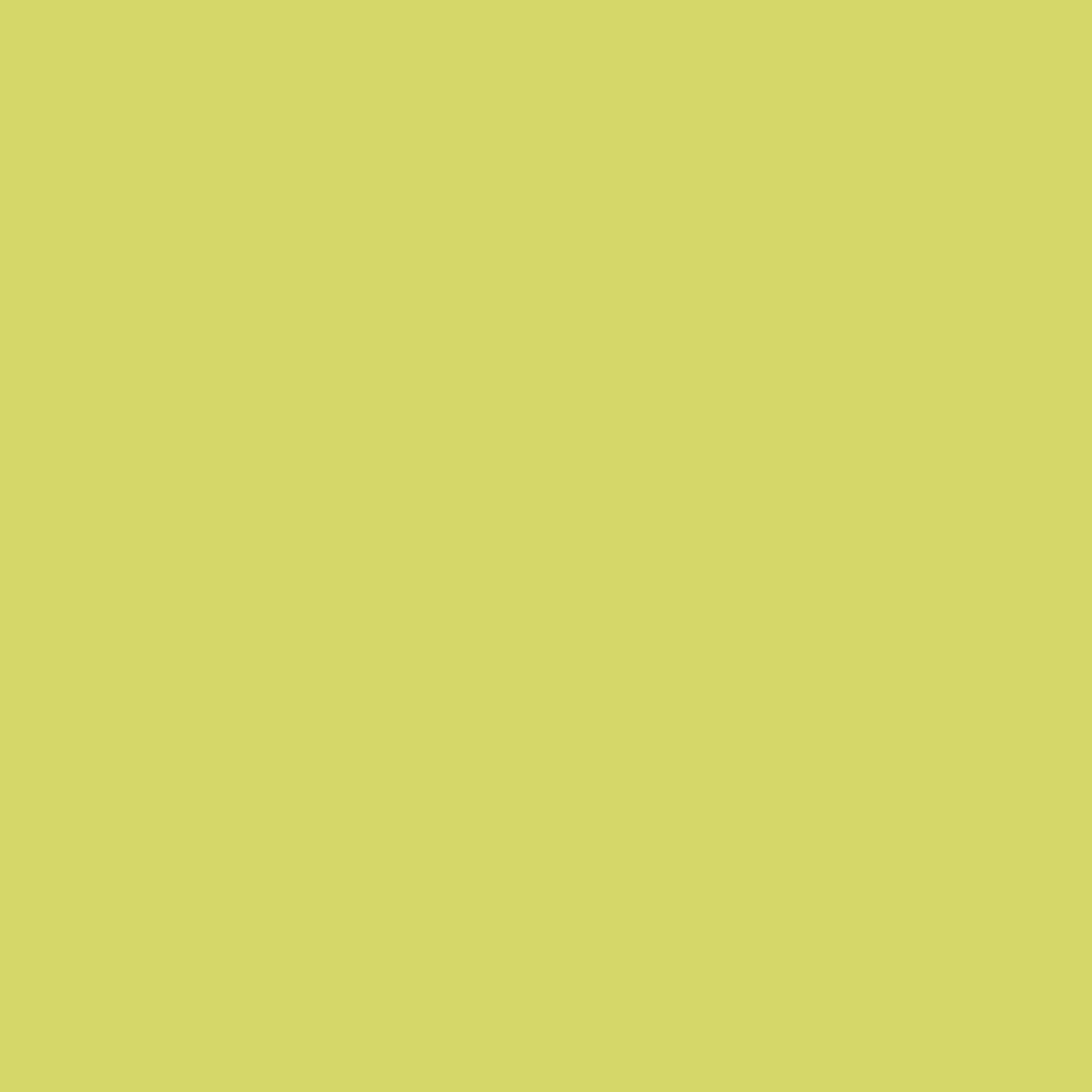 Raisin vert 2027-40