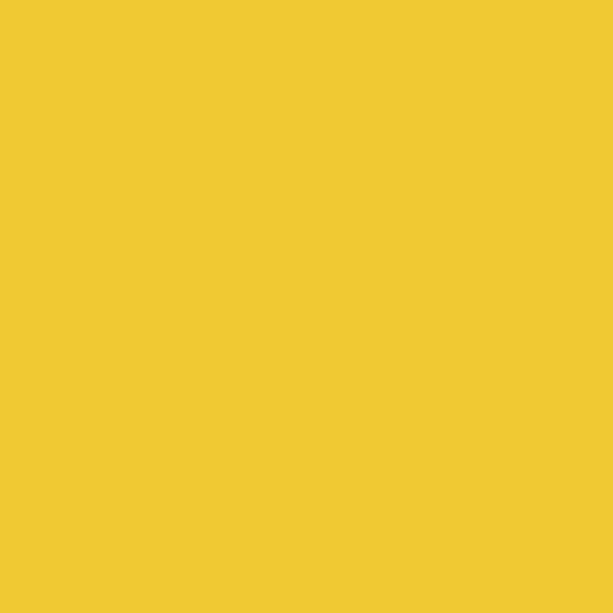 Rayons de soleil 343