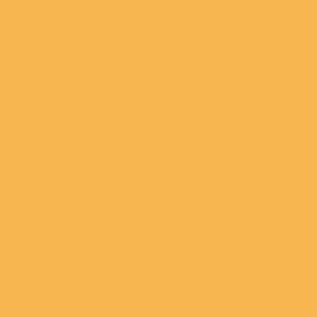 Champs de tournesol 174