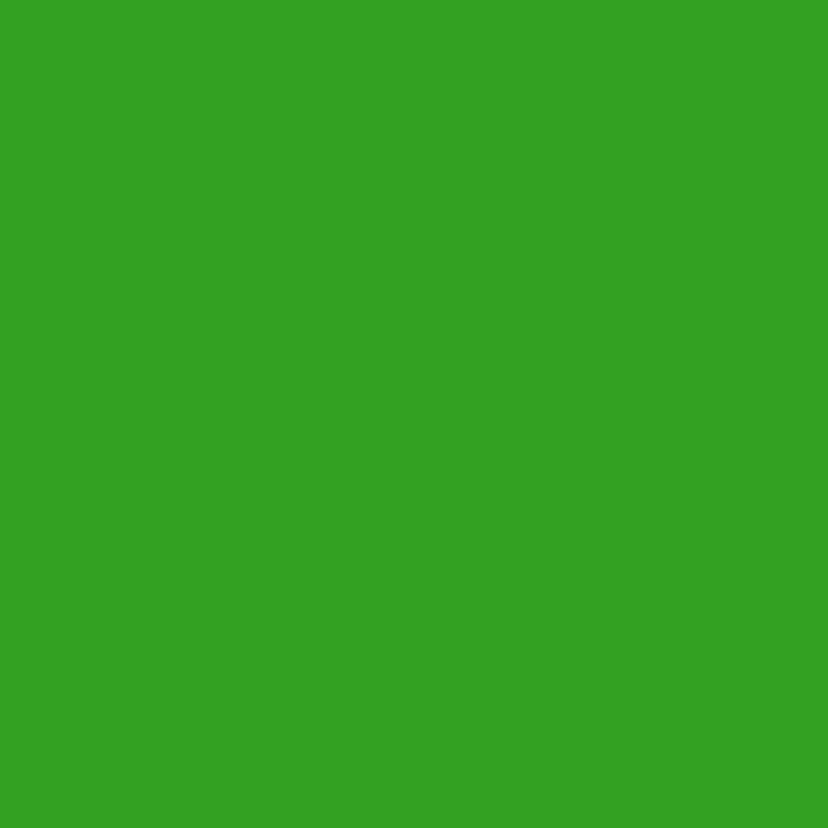 Lizard Green 2030-10
