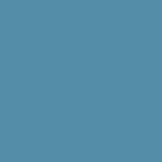 Marguerite bleue 2062-40