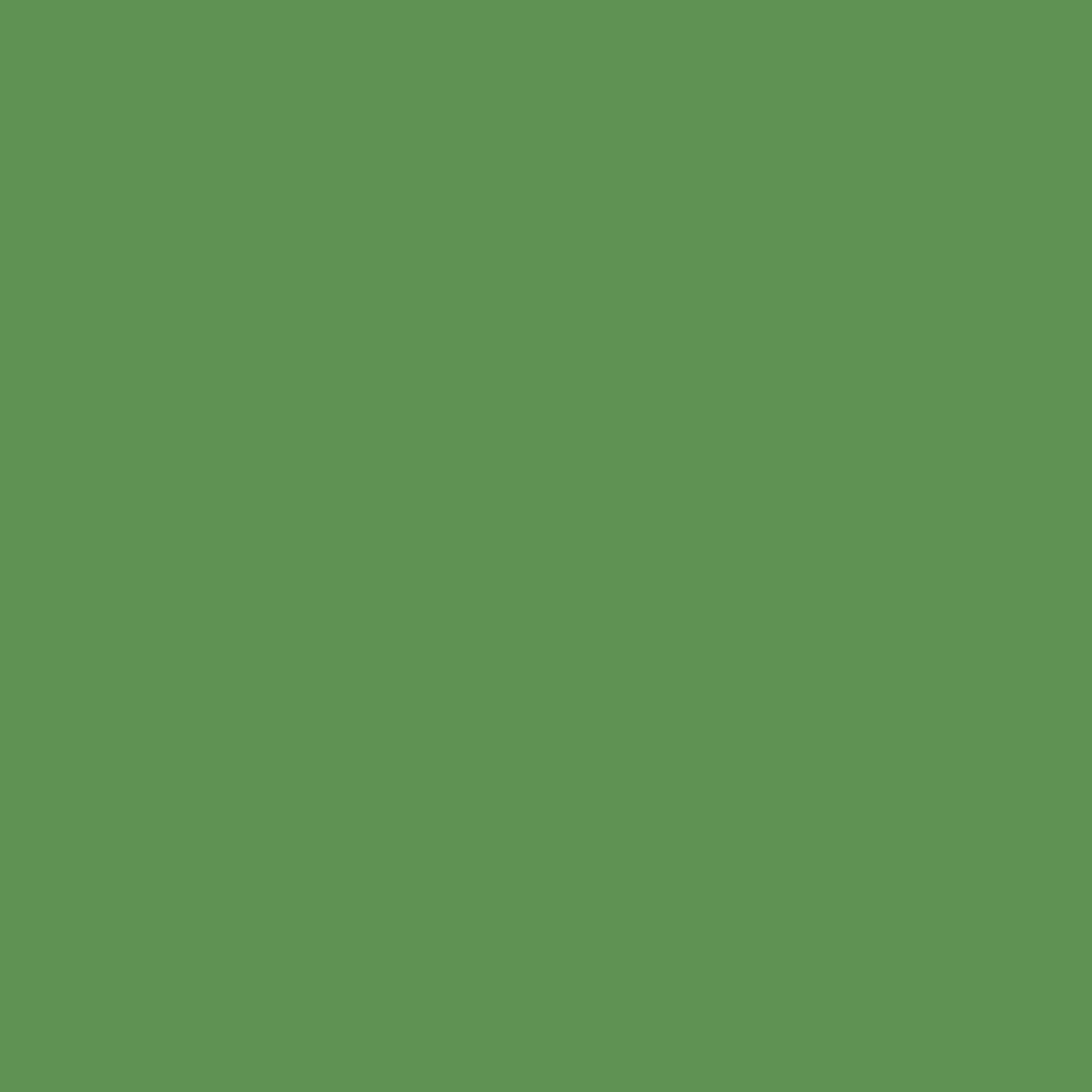 Vert Richmond 553