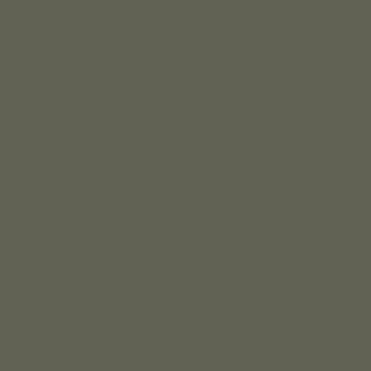 Olive foncée 2140-30