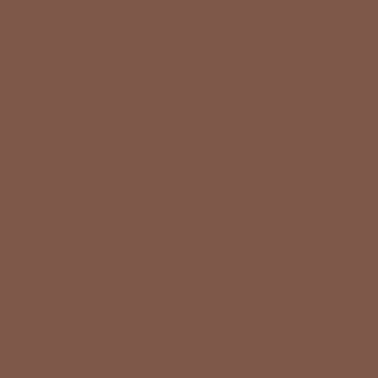 Brun cendré 2095-30