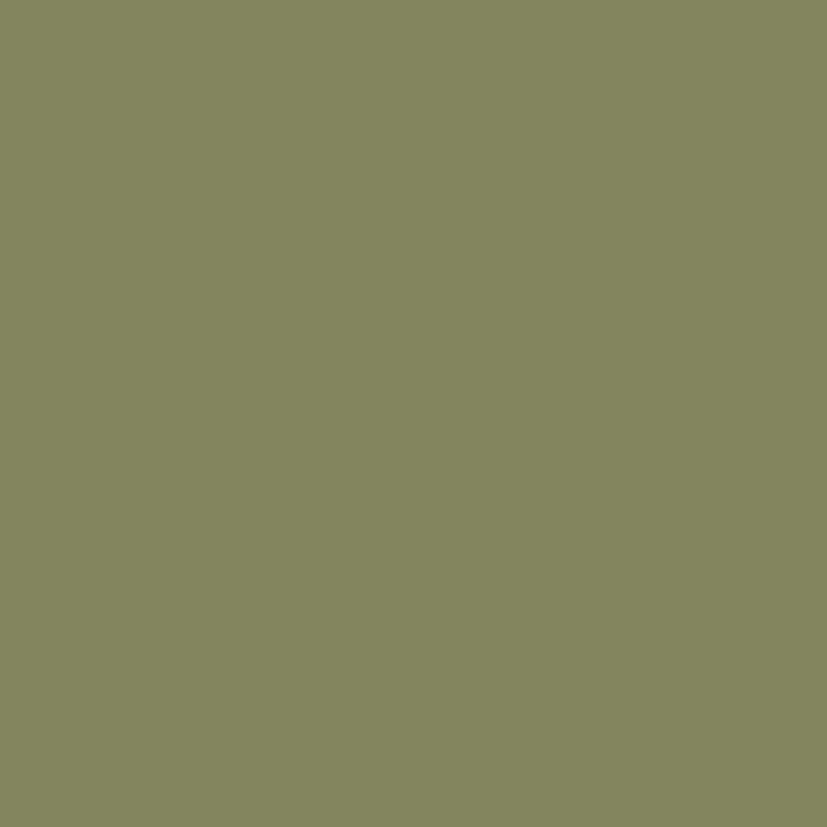 Feuille d'eucalyptus 2144-20