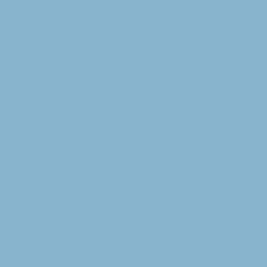 Jean bleu 2062-50