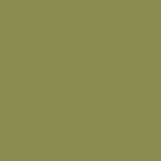 Terrapin Vert 2145-20