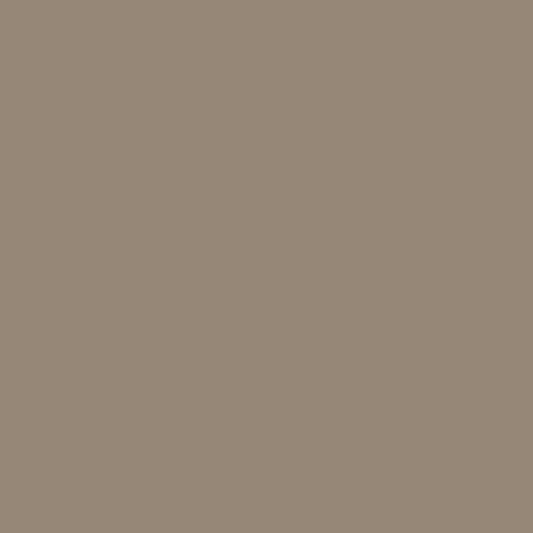 Bois beige 1007