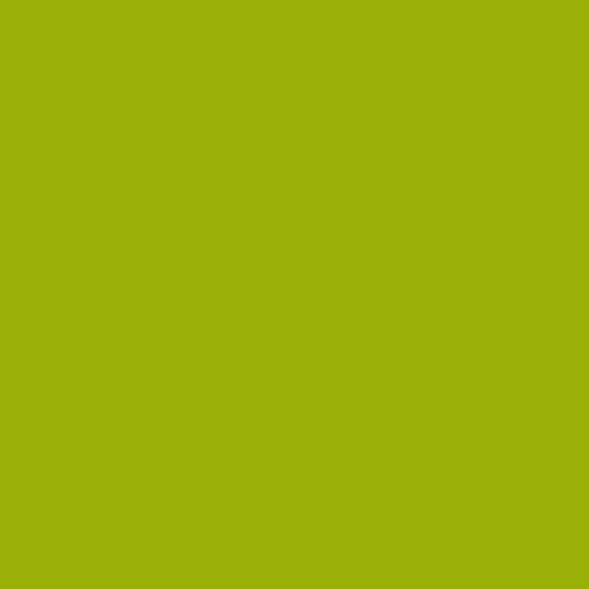 Citron vert foncé 2027-10