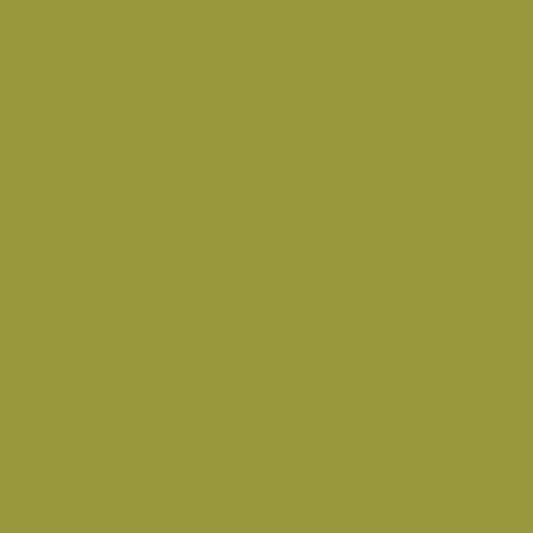 Mousse de forêt 2146-20