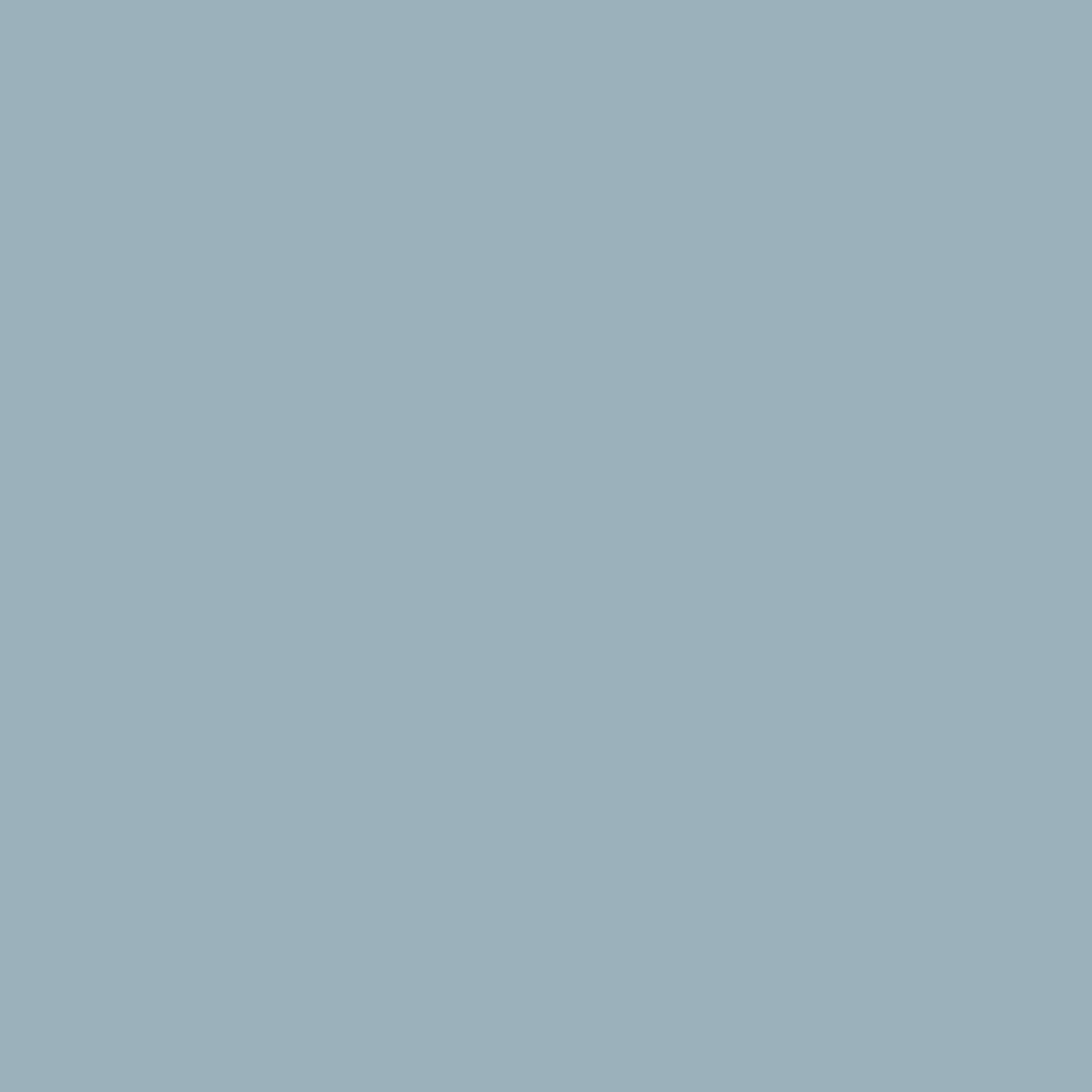 Bleu Ardoise 1648