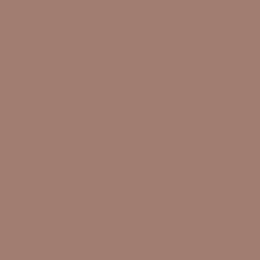 Brun d'automne 2099-40