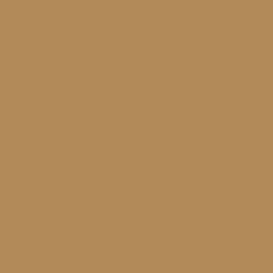 Bryan Ocre CW-390