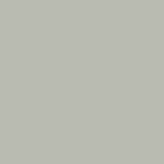 Cheval Gris 2140-50
