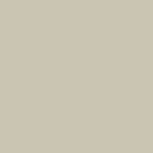 Mirage gris 2142-50