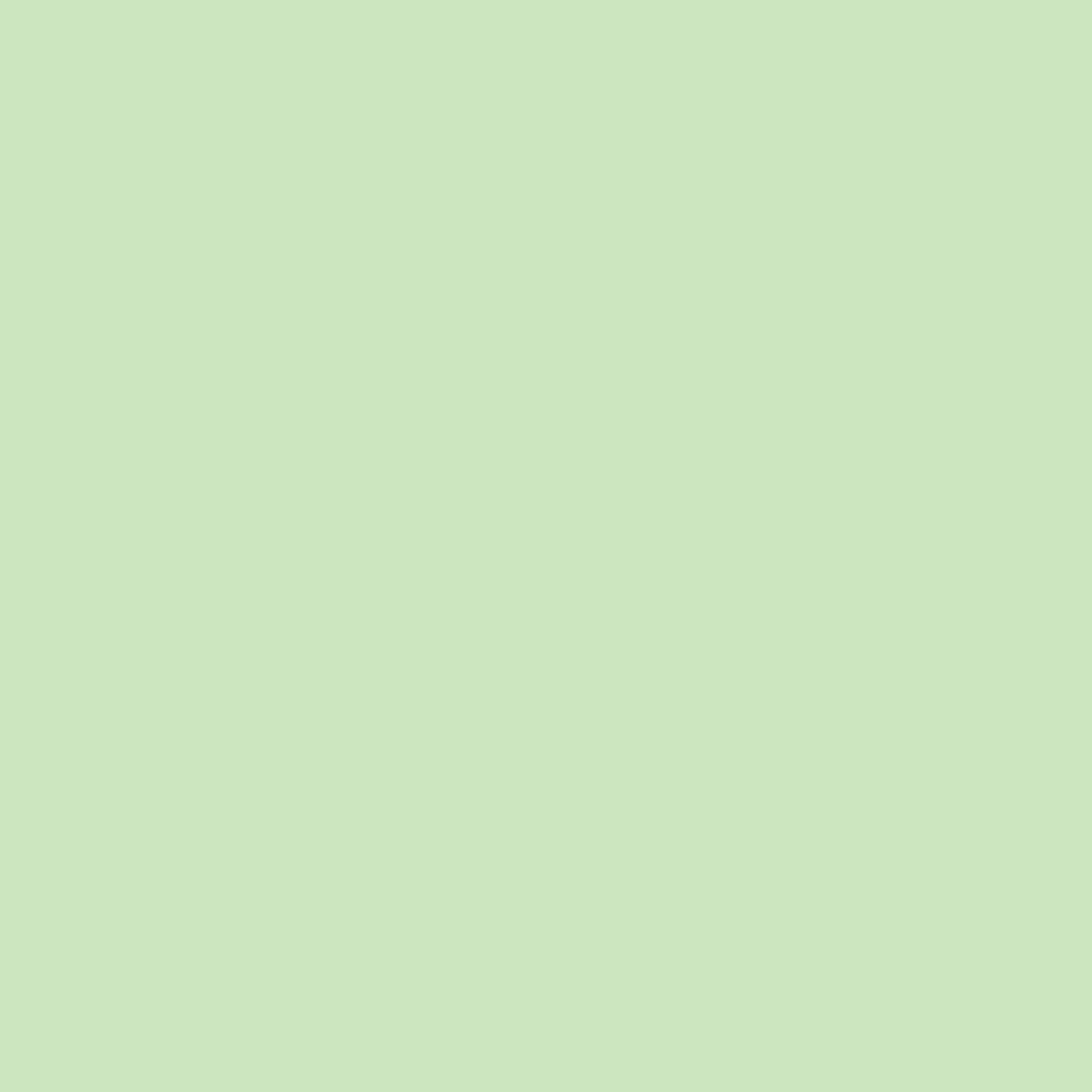 Vert Pastel 548