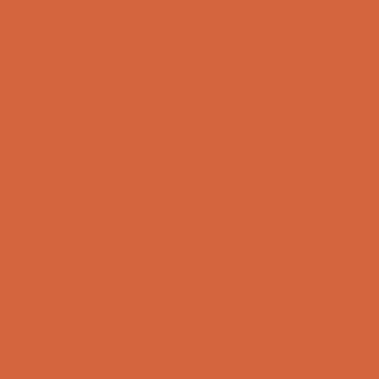Perroquet orange 2169-20