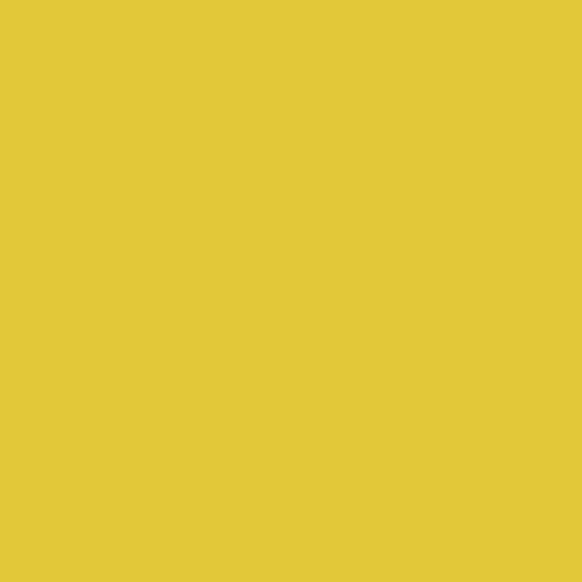 Hibiscus jaune 357