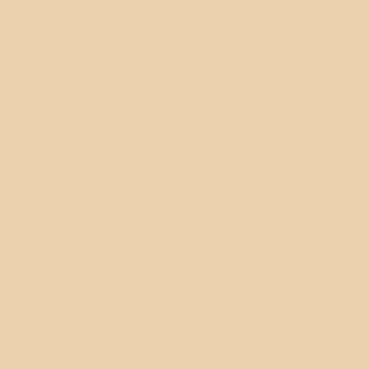 Sable naturel 2165-50