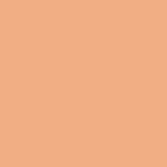 Caramel Orange 2167-40