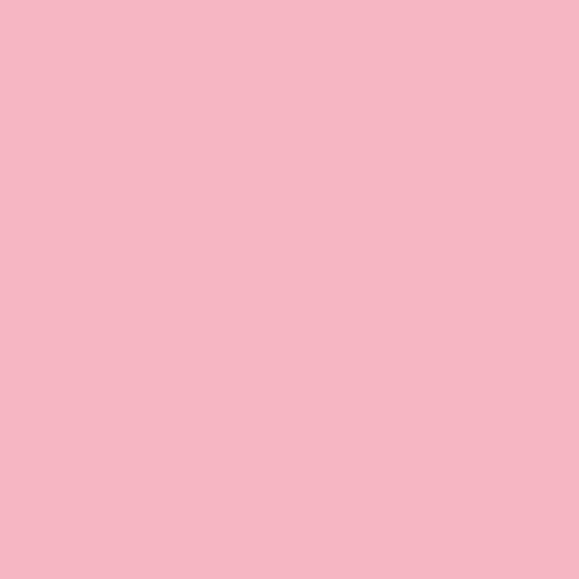 Sorbet Fraise 2087-50